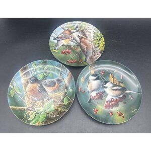 Knowles Encyclopedia Britannica Birds Of Your Garden Plates Kevin Daniel 8.5”- 3